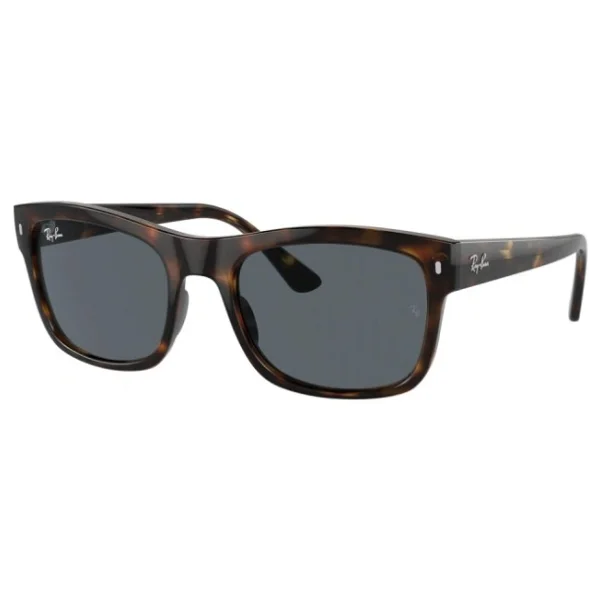 Ray-Ban 4428 710/R5 Havana-Blue Güneş Gözlüğü - Görsel 4