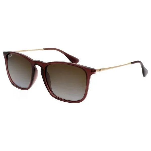 Ray-Ban Chris 4187 6593T5 Transparent Brown-Brown Polarize Güneş Gözlüğü - Görsel 2