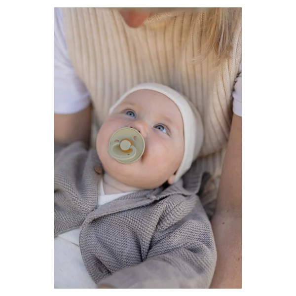 Bibs Colour Sage-Hunter Green 18 Ay+ İkili Kauçuk Emzik - Görsel 2