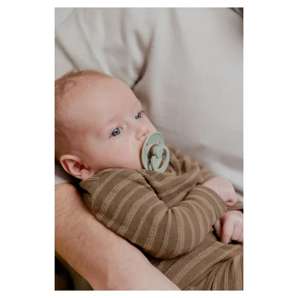 Bibs Colour Ivory-Sage 18 Ay+ İkili Kauçuk Emzik - Görsel 3