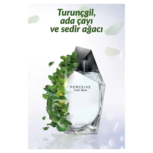 Avon Perceive EDT 100 ml Erkek Parfüm - Görsel 7