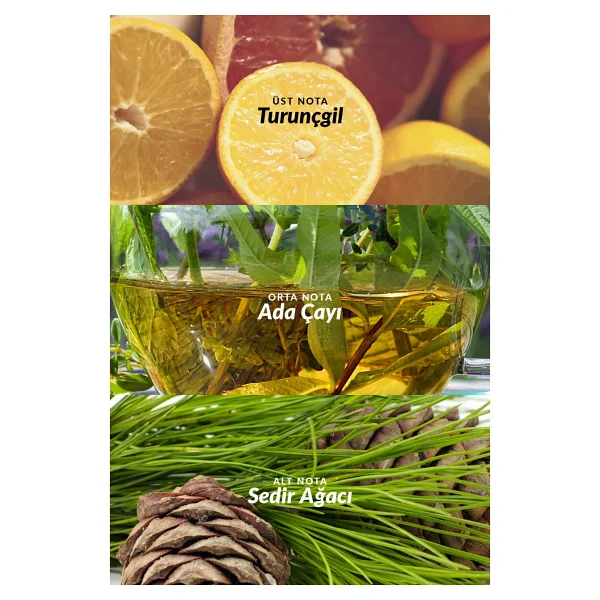 Avon Perceive EDT 100 ml Erkek Parfüm - Görsel 8