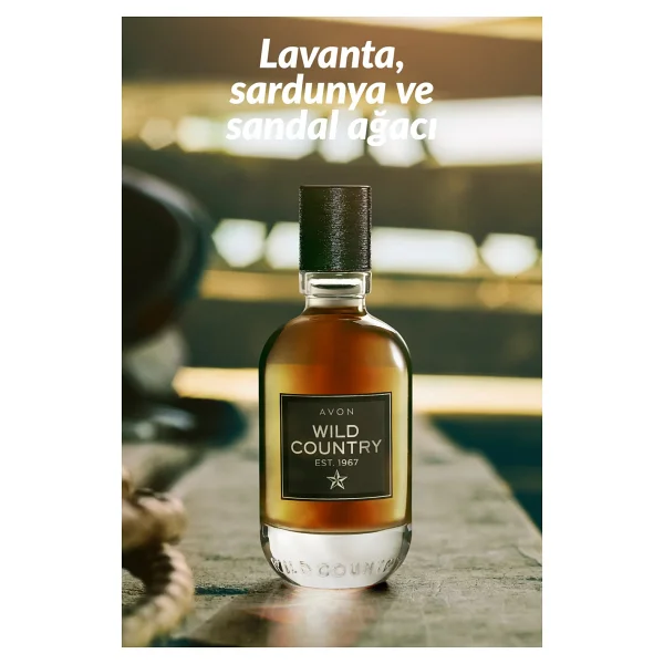 Avon Wild Country EDT 75 ml Erkek Parfüm - Görsel 3