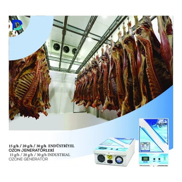 Dozon Endüstriyel Çok Amaçlı 20 G/H Ozon Jeneratörü - Görsel 4