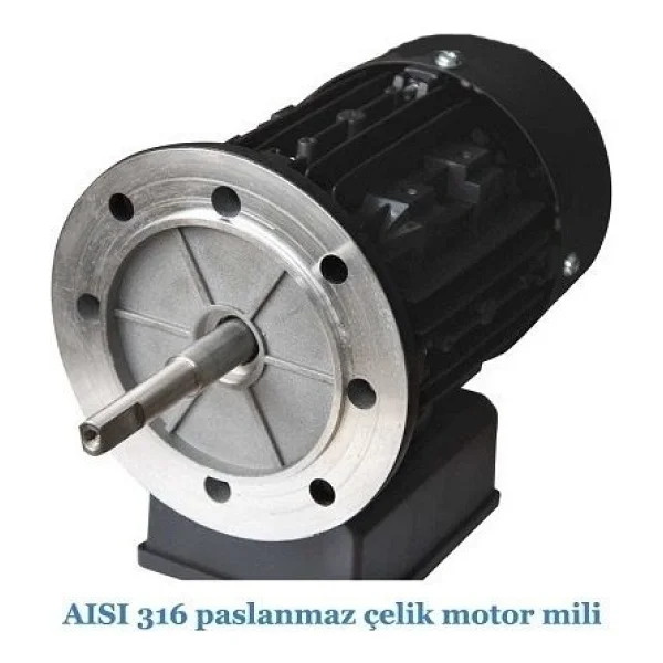 Havuz Pompası Streamer Mini 1,5 Hp 220 Volt - Görsel 3