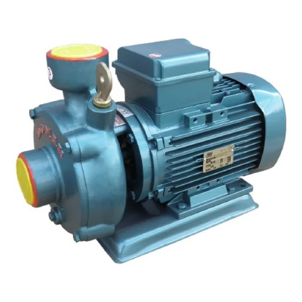 Domak SLG-200 2K 220 V 3 Hp Monoblok Elektropomp - Görsel 3