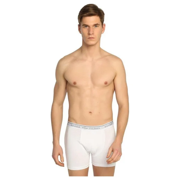 Seher Yıldızı 0060 Likralı 12'li Erkek Boxer - Görsel 2