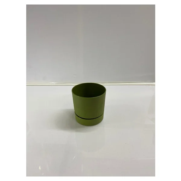 Poliwork Begonya 9 cm Yeşil Plastik Tabaklı Saksı - Görsel 3