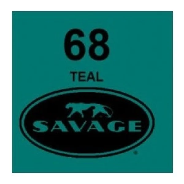 Savage (U.S.A) Stüdyo Kağıt Fon Teal 271x1100 cm - Görsel 3