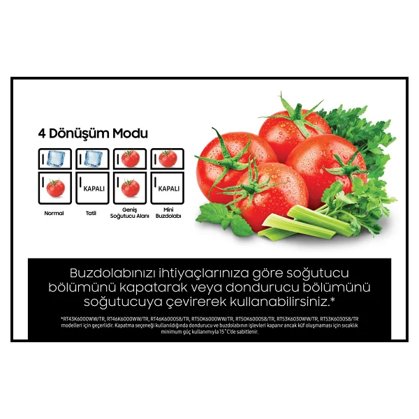 Samsung RT46K6000S8 Çift Kapılı No-Frost Buzdolabı - Görsel 6