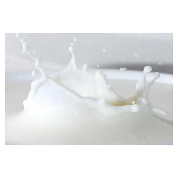 Tito Koyun Sütü Aroması 10 ml - Görsel 2