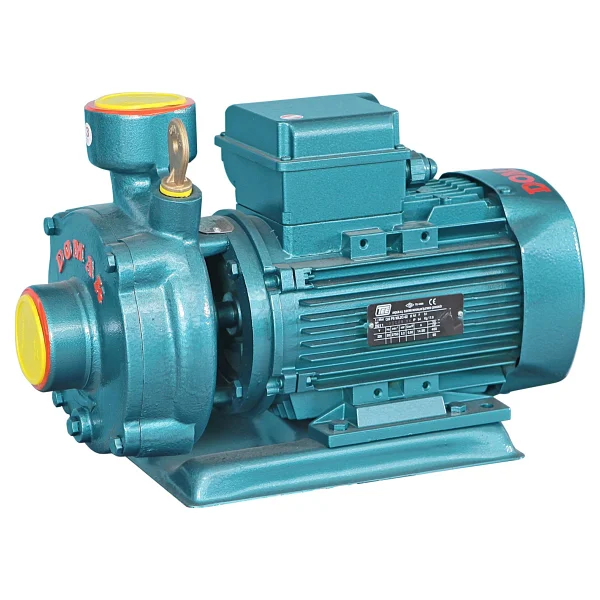 Domak SLG-200 2K 220 V 3 Hp Monoblok Elektropomp - Görsel 2