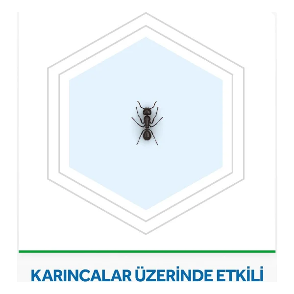 Raid Karınca Yemi 2 Li Tablet Etkili 2 Promo Paket Kokusuz ve Pratik Kullanım - Görsel 2