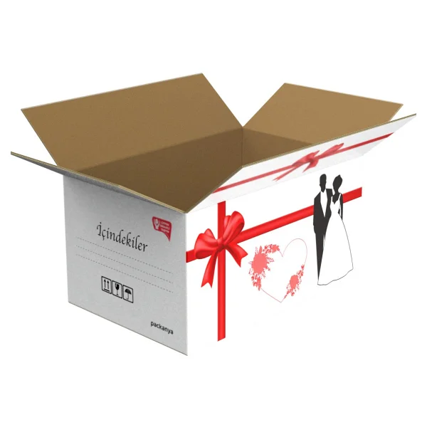 Packanya 58x38x30 - 20 Adet Çeyiz Kolisi - Büyük Ve Sağlam Çok Renkli - Görsel 2