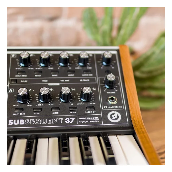 Moog Subsequent 37 Analog Synthesizer - Görsel 9