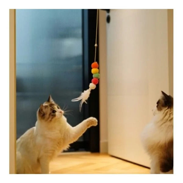 Elastik Yapışkanlı Kedi Oyun Oltası - Görsel 7