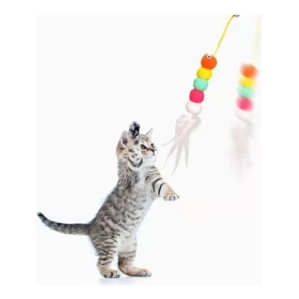 Elastik Yapışkanlı Kedi Oyun Oltası - Görsel 8