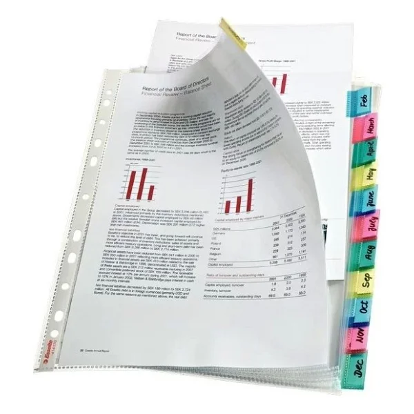 Esselte Poşet Dosya Ayraçlı 12 Lİ 414170 - Görsel 2