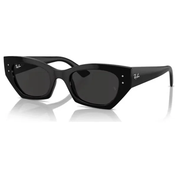 Ray-Ban Zena 4430 667787 Black-Dark Grey Güneş Gözlüğü - Görsel 2