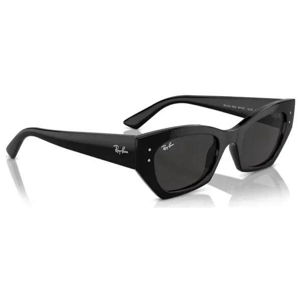 Ray-Ban Zena 4430 667787 Black-Dark Grey Güneş Gözlüğü - Görsel 5