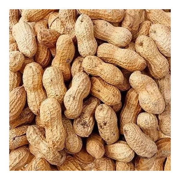 Kabuklu Yer Fıstığı 1 KG - Görsel 4