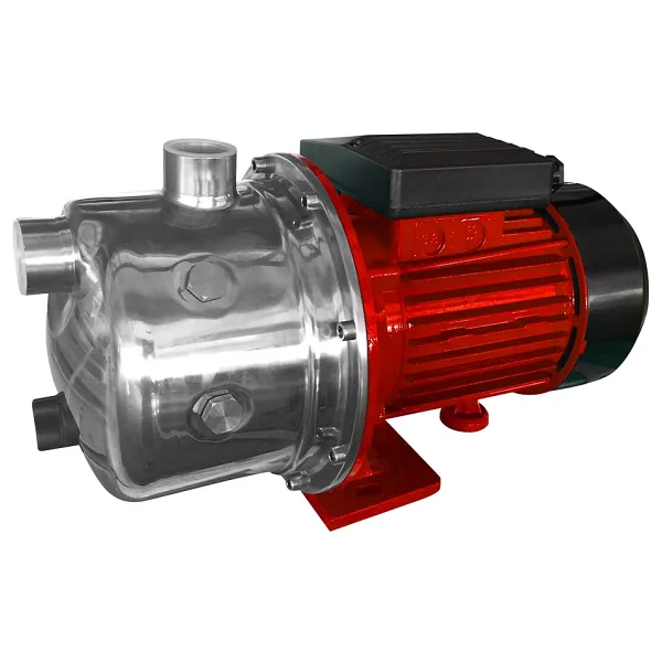 Rodex RDX871 800 W Bahçe Su Pompası - Görsel 2