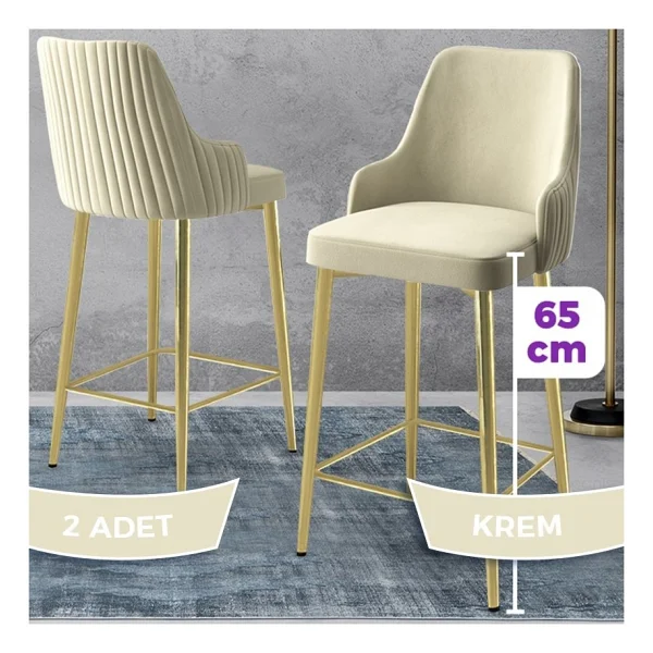 Canisa Tera Serisi 2 Adet Babyface Kumaş 65 cm Gold Kaplama Ayaklı Bar Sandalyesi - Lacivert - Görsel 5