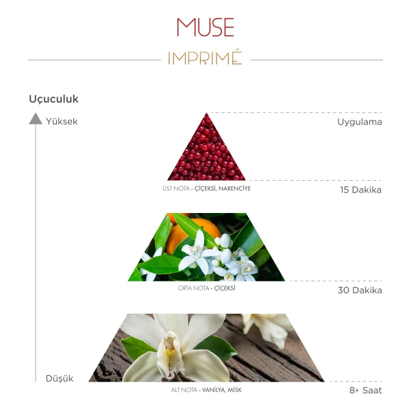 Imprime Muse EDP 50 ml Kadın Parfüm - Görsel 5