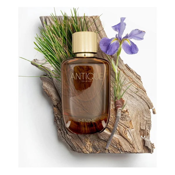 Imprime Antique EDP 100 ml Erkek Parfüm - Görsel 2