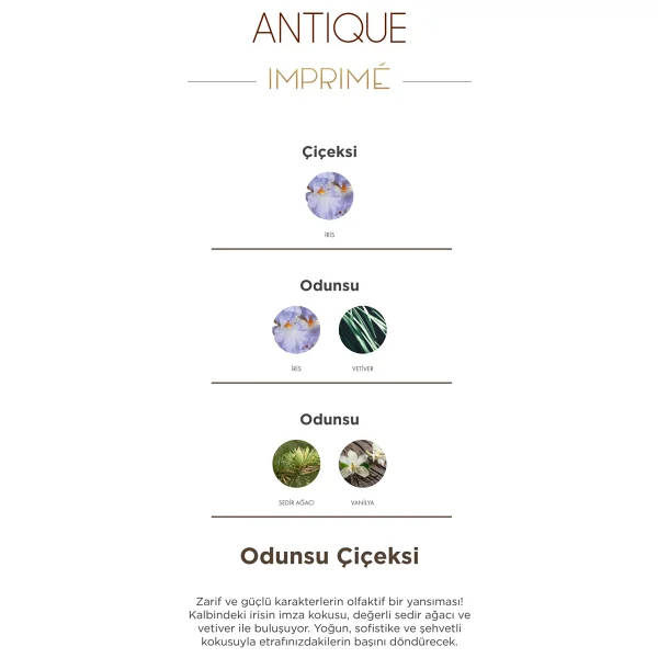 Imprime Antique EDP 100 ml Erkek Parfüm - Görsel 6