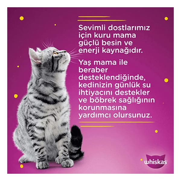 Whiskas Ton Balıklı 400 gr 24'lü Yetişkin Konserve Kedi Maması - Görsel 5
