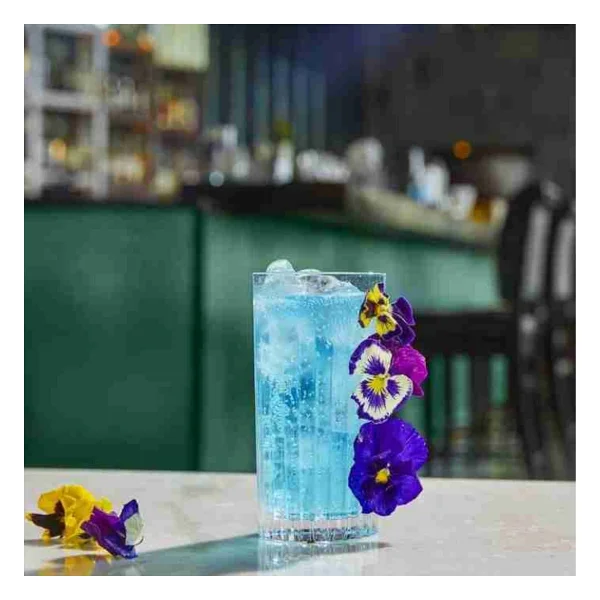 RCR Timeless 440 ml 6'lı Meşrubat Bardağı - Görsel 4