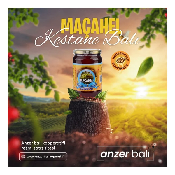 Buzluhan Kestane Balı(Macahel) - 1 kg - Görsel 4