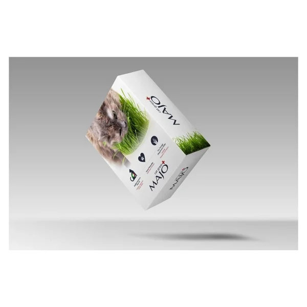 Majo Cat Grass Kedi Çimi - Görsel 2