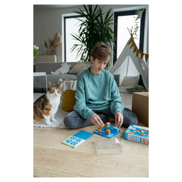 Smart Games Cats and Boxes - Görsel 6
