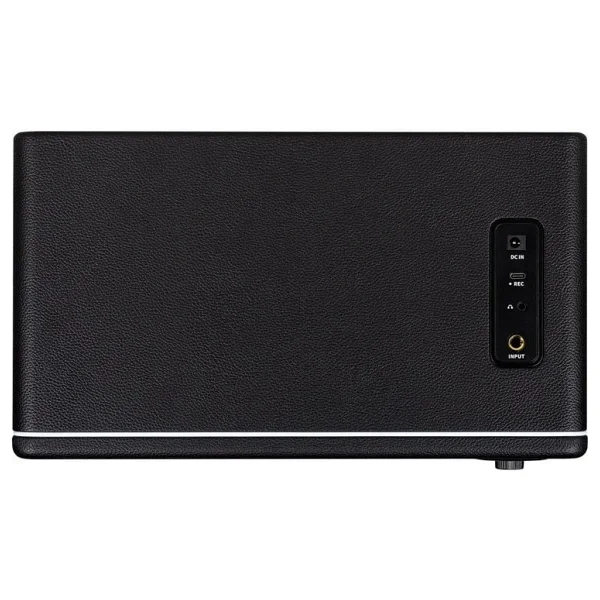 Mooer Hornet DH30I 30W Gitar Amfisi - Görsel 3