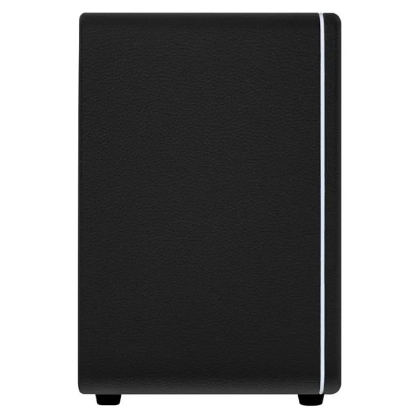 Mooer Hornet DH30I 30W Gitar Amfisi - Görsel 4
