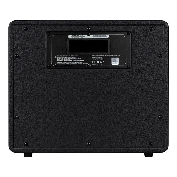 Mooer Hornet DH30I 30W Gitar Amfisi - Görsel 5