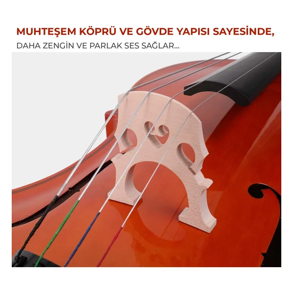 Maxword MCL-250 Yüksek Kaliteli Masif Ağaç Çello - Kahverengi - Görsel 6