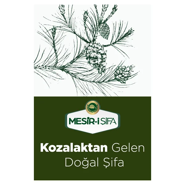 Mesir-i Şifa Kozalak Özü 700 gr - Görsel 5