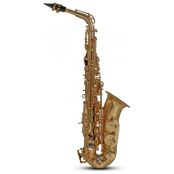 Roy Benson AS-202 Alto Saksafon - Görsel 9