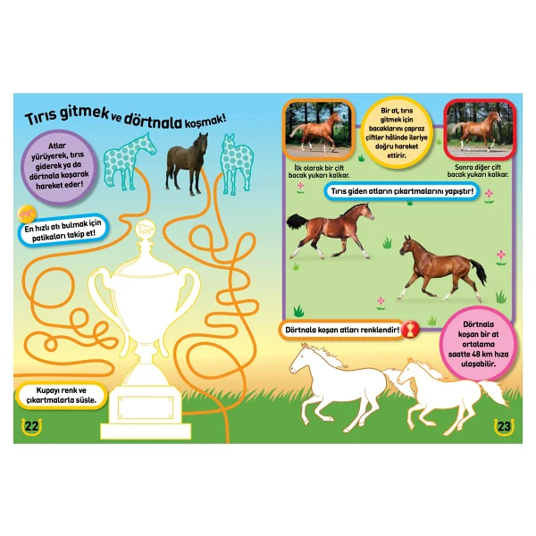National Geographic Kids - Midilliler ve Atlar - Kolektif - Görsel 5