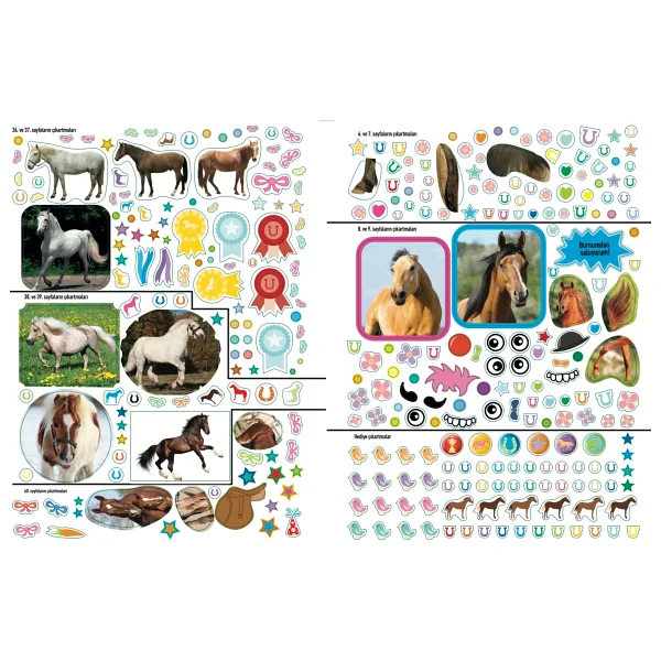 National Geographic Kids - Midilliler ve Atlar - Kolektif - Görsel 6