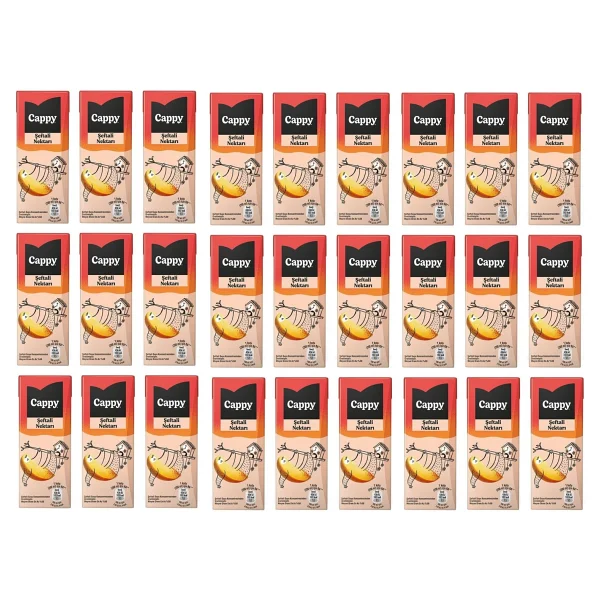 Cappy Şeftali Nektarı 27x200 ml - Görsel 4