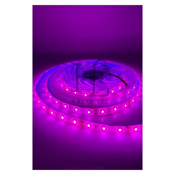 12 Volt Grow Full Spectrum Şerit Led Ip65 Dış Mekan Silikonlu Bitki Yetiştirme Ledi 5 Metre - Görsel 4