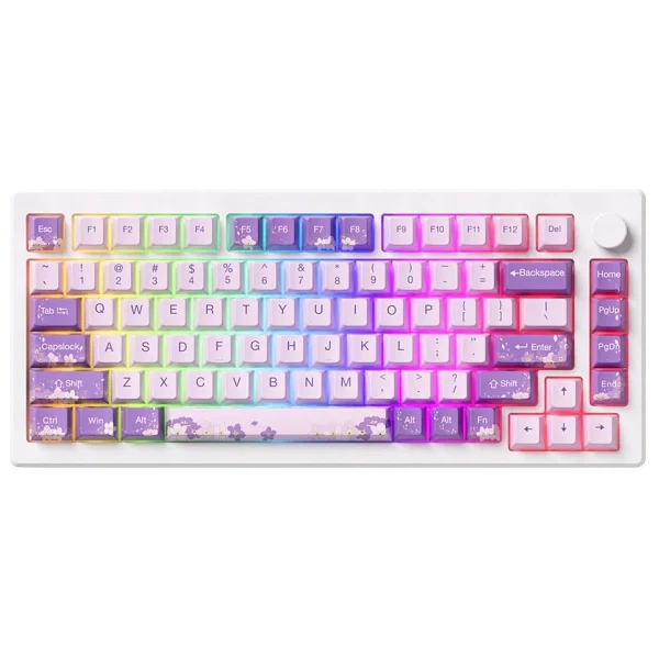 Akko MOD007-HE PC Purple Melody RGB TKL Cream Yellow Magnetic Kablolu Mekanik Oyuncu Klavyesi - Görsel 10