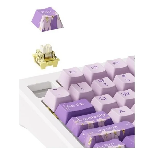Akko MOD007-HE PC Purple Melody RGB TKL Cream Yellow Magnetic Kablolu Mekanik Oyuncu Klavyesi - Görsel 5
