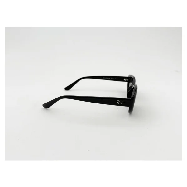 Ray-Ban 4441D 667787 Black-Dark Grey Güneş Gözlüğü - Görsel 3