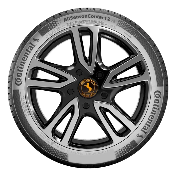 Continental AllSeasonContact 2 215/55 R17 98V XL 4 Mevsim Lastik - 2024 - Görsel 3