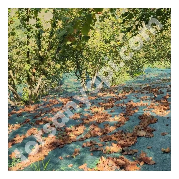 Fındık Filesi - Ürün Toplama Filesi - Yüzde 40LIK - Yeşil - 1.5 Metre x 7 Metre - standart - Görsel 3